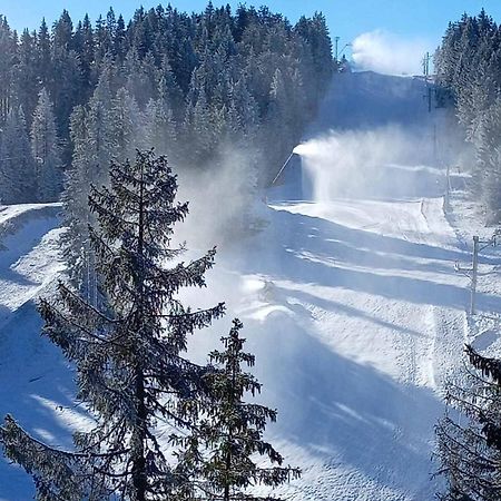Woodside Woodside Apartments Kopaonik Free Parking & Spa , Free Ski Locker Buitenkant foto