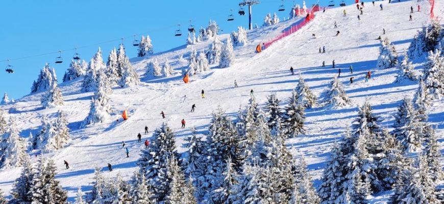 Woodside Woodside Apartments Kopaonik Free Parking & Spa , Free Ski Locker Buitenkant foto