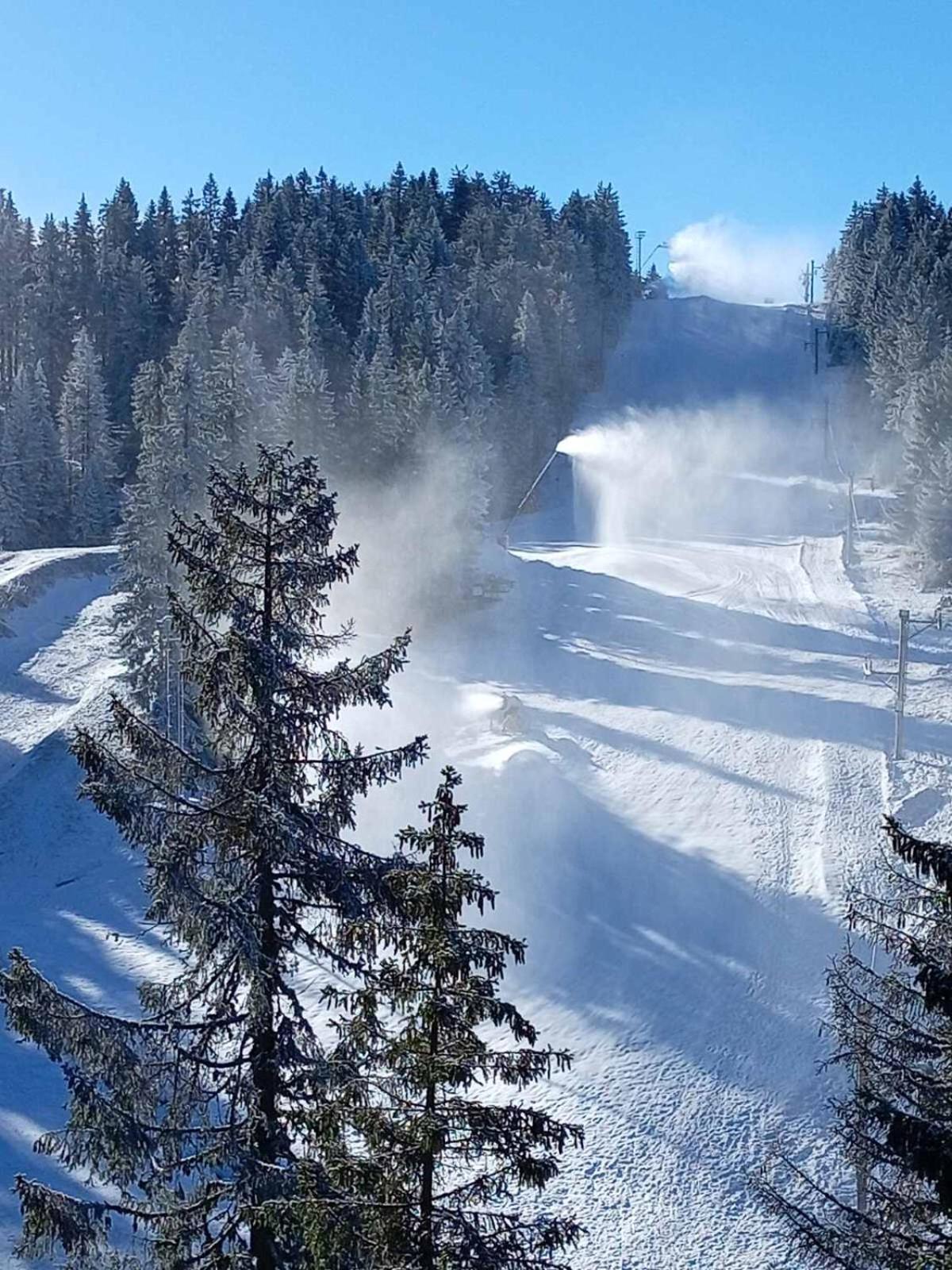 Woodside Woodside Apartments Kopaonik Free Parking & Spa , Free Ski Locker Buitenkant foto